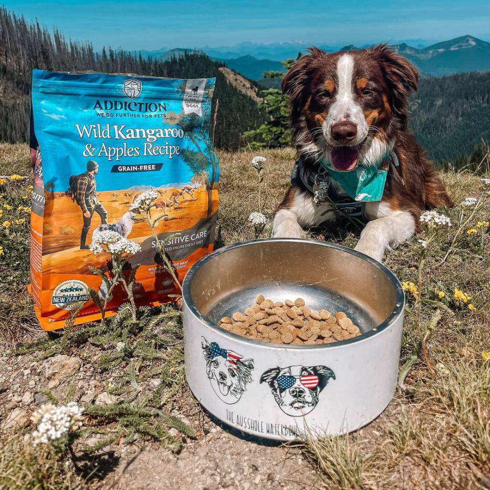 Addiction Wild Kangaroo Apples Recipe Dry Dog Food Addiction Pet Foods USA